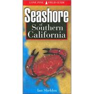 Seashore of Southern California
