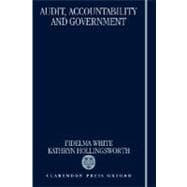 Audit, Accountability and Government