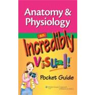 Anatomy & Physiology: An Incredibly Visual! Pocket Guide