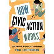 How Civic Action Works