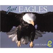 Just Eagles 2000 Calendar