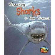 Watching Sharks in the Oceans