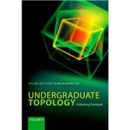 Undergraduate Topology A Working Textbook