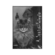 Softly Walking: A Spasso Felpato