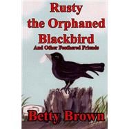 Rusty the Orphaned Blackbird