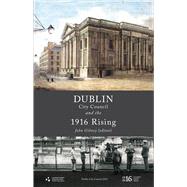 Dublin City Council and the 1916 Rising