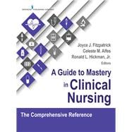 A Guide to Mastery in Clinical Nursing