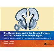 The Human Brain during the Second Trimester 190– to 210–mm Crown-Rump Lengths