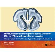 The Human Brain during the Second Trimester 160– to 170–mm Crown-Rump Lengths