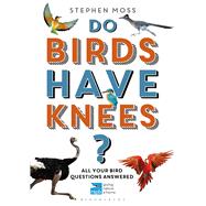 Do Birds Have Knees? All Your Bird Questions Answered
