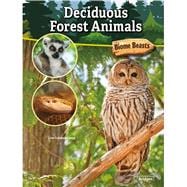 Deciduous Forest Animals