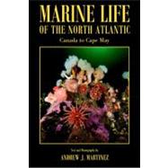 Marine Life Of The North Atlantic: Canada To Cape May