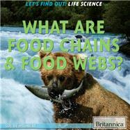 What Are Food Chains & Food Webs?
