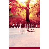 Amplified Bible, eBook
