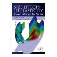 Size Effects in Plasticity