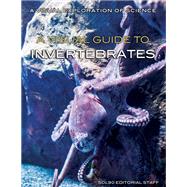 A Visual Guide to Invertebrates