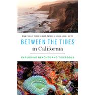 Between the Tides in California