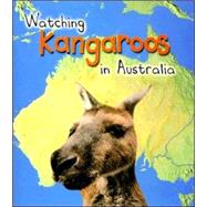 Watching Kangaroos in Australia