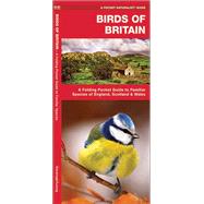 Birds of Britain A Folding Pocket Guide to Familiar Species of England, Scotland & Wales