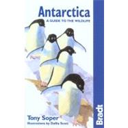 Antarctica Wildlife 5th