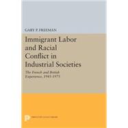 Immigrant Labor and Racial Conflict in Industrial Societies