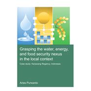Grasping the Water, Energy, and Food Security Nexus in the Local Context