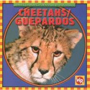 Cheetahs/ Guepardos