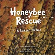 Honeybee Rescue A Backyard Drama