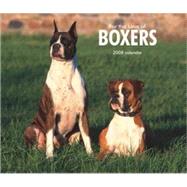 For the Love of Boxers 2008 Calendar