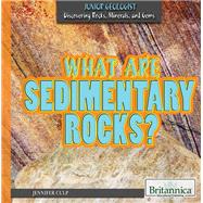 What Are Sedimentary Rocks?