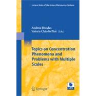 Topics on Concentration Phenomena And Problems With Multiple Scales