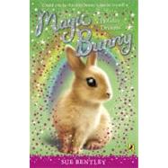 Magic Bunny: Holiday Dreams