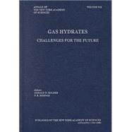 Gas Hydrates Vol. 912 : Challenges for the Future