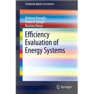 Efficiency Evaluation of Energy Systems