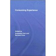Consuming Experience