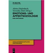 Soziologie Der Gewalt