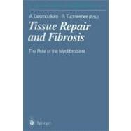 Tissue Repair and Fibrosis: the Role of the Myofibroblast