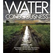 Water Consciousness : How We All Have to Change to Protect Our Most Critical Resource