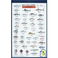 Mac's Field Guide to Northeast Coastal Fishes