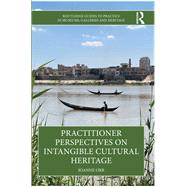 Practitioner Perspectives on Intangible Cultural Heritage