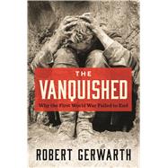The Vanquished Why the First World War Failed to End