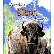 Watching Bison in North America