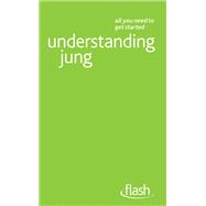 Understanding Jung: Flash