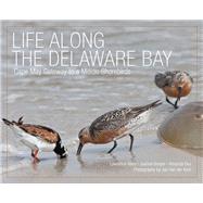 Life Along the Delaware Bay