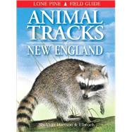 Animal Tracks of New England