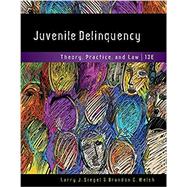 Juvenile Delinquency: Theory, Practice, and Law, Loose-Leaf Version