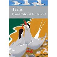 Terns