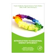 Introduction to Industrial Energy Efficiency