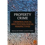 Property Crime: From crime scene to offender rehabilitation