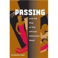 Passing And The Rise Of The African American Novel